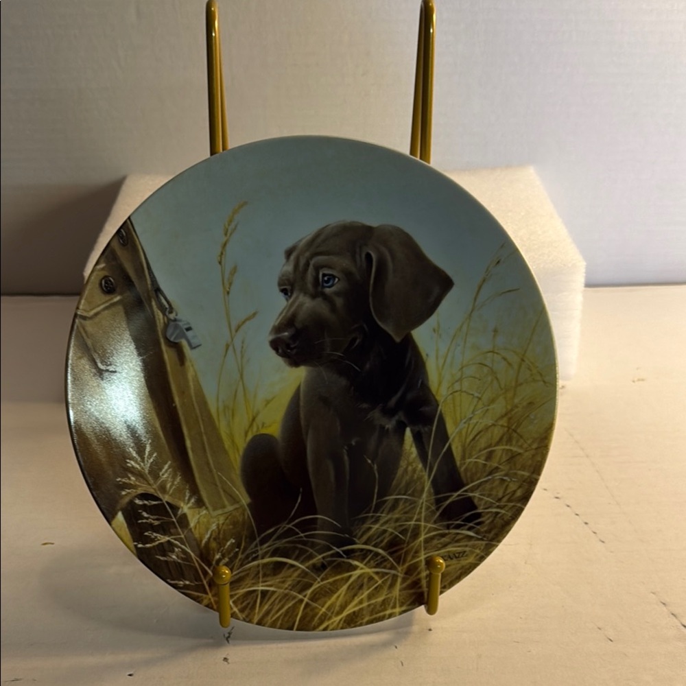 “Command Performance” The Weimaraner Decorative Plate (1989)NWOT
